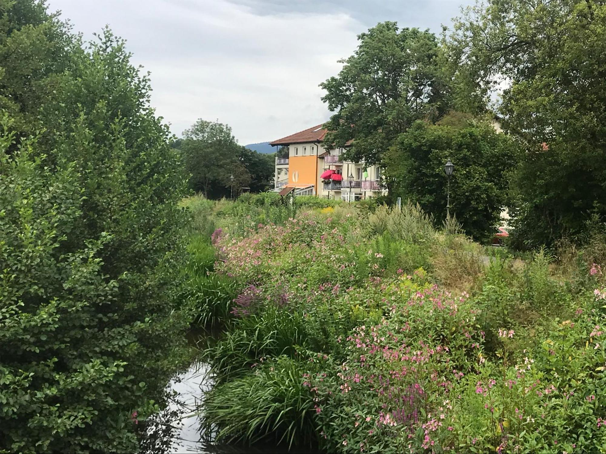 Apartmán Ferienresidenz Am Weissen Regen Kötzting Exteriér fotografie